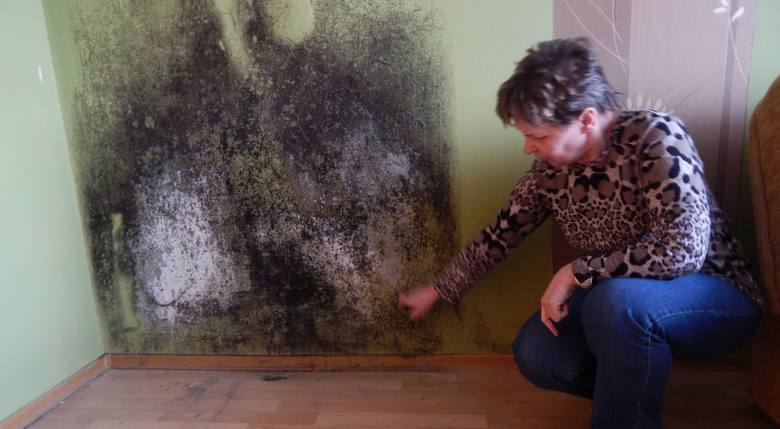 Irena Mirczyńska pokazuje ogromną plamę wilgoci w swoim mieszkaniu. Uważa, że problemem jest dach bloku, który trzeba załatać.