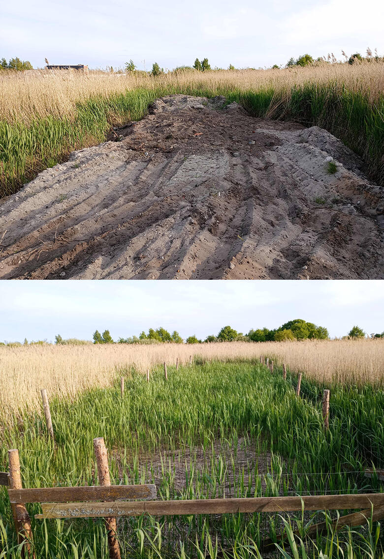 Nowo powstałe pola kempingowe nieopodal użytku ekologicznego Torfowe Kłyle w Jastarni