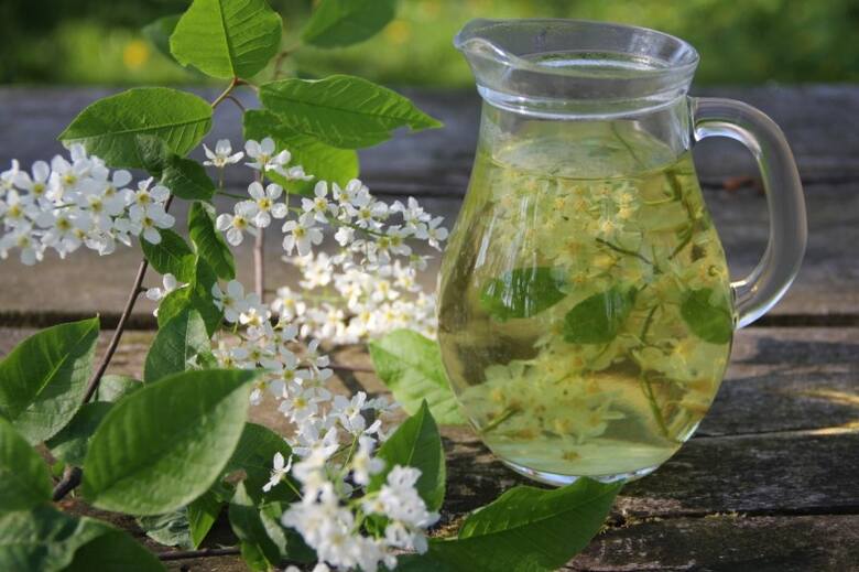 Napar można robić zarówno ze świeżych, jak i suszonych kwiatów czeremchy. Z kwiatów można zrobić także aromatyczny syrop.