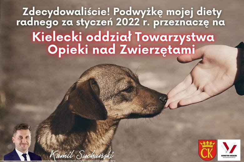 Kielecki radny, Kamil Suchański przekaże podwyżkę diety na bezdomne zwierzęta. Pieniądze otrzyma TOZ 