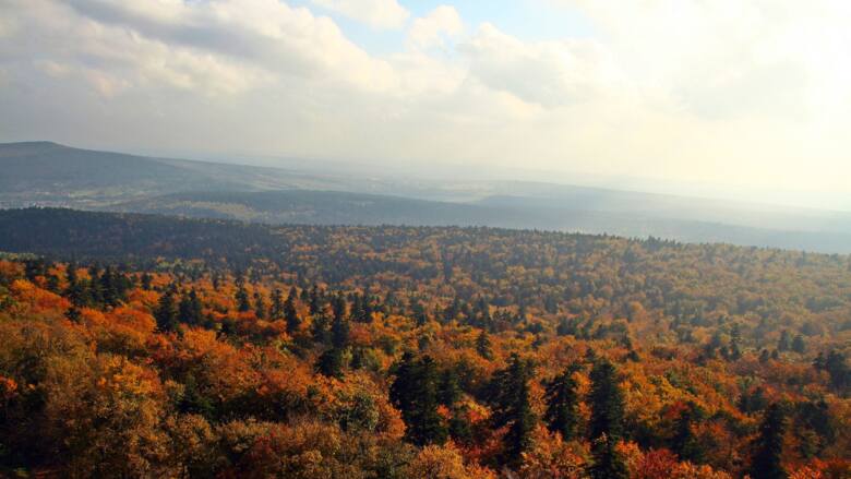 Widok na lasy w Górach Świętokrzyskich jesienią