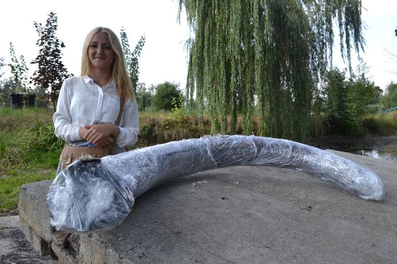 Cios mamuta znaleziony w Zawadzie