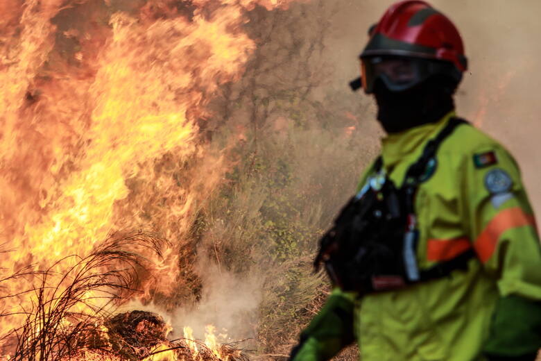 Największym zagrożeniem, według strażaków, jest pożar w lasach położonych koło miasta Ourem