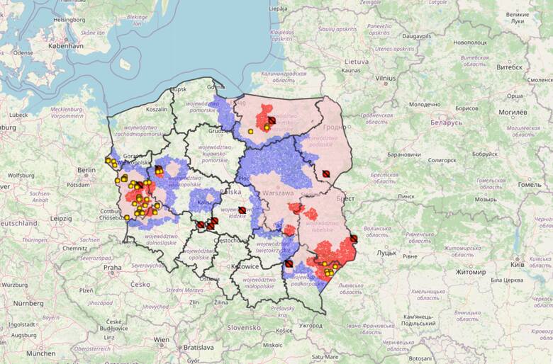 Mapa ASF w Polsce 2021. Branża wskazuje, jak walczyć z afrykańskim pomorem świń. Chce szybkich testów