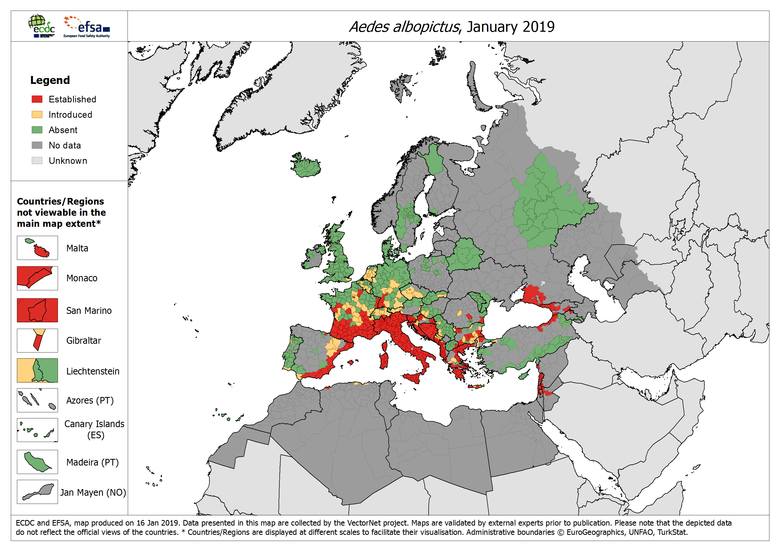 Mapa występowania azjatyckiego komara tygrysiego w Europie w styczniu 2019 roku