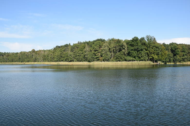 Jezioro Liny (na trasie Babimost - Kargowa) - wrzesień 2020 rok