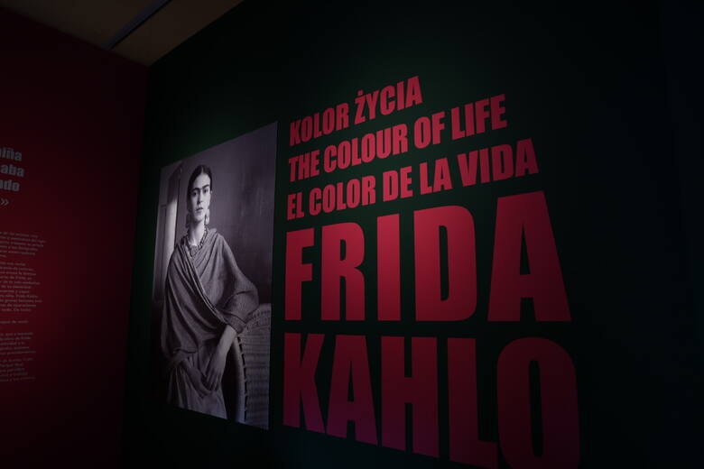 Obrazy słynnej Fridy Kahlo przybyły do Polski. W Łazienkach Królewskich w Warszawie otwarto wystawę jej dzieł