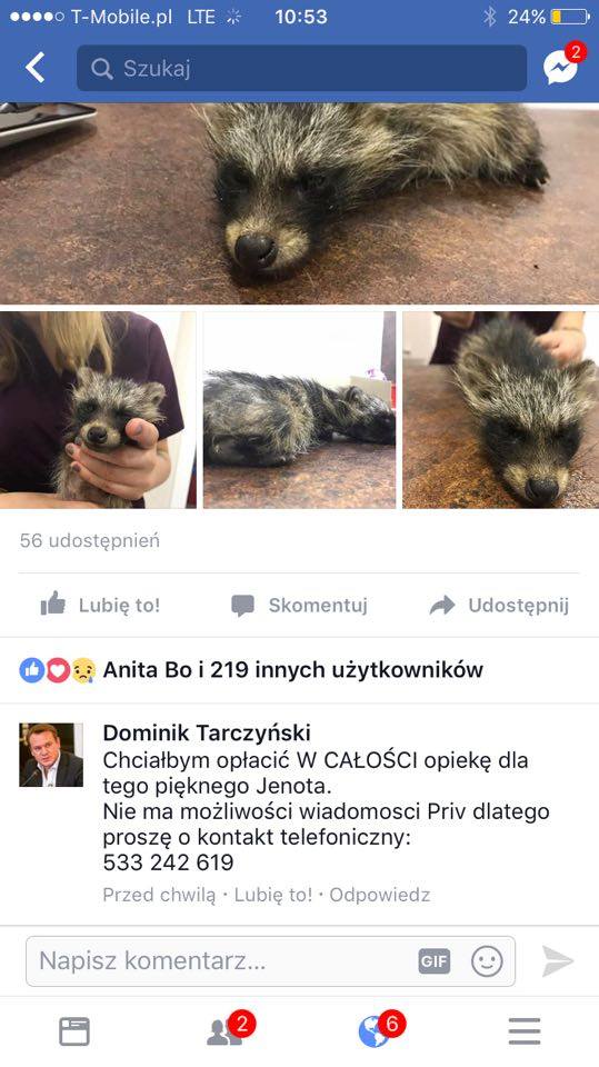 Poseł Tarczyński chce opłacić opiekę nad... jenotem