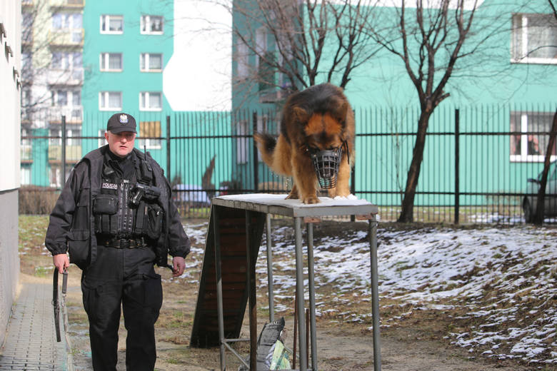 Psy w policji są czasem niezastąpione [WIDEO]