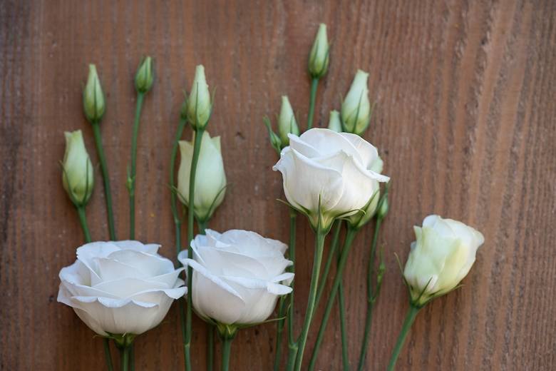 biała róża, kwiaty, kwiaty cięte, eustoma