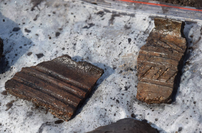 Fragmenty ceramiki znalezione podczas badań archeologicznych w Grodziszczu koło Świebodzina.