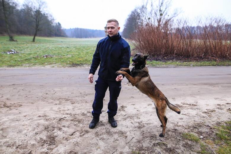 Mateusz Kowalczyk - instruktor szkolenia psow policyjnych NZ Taz - pies patrolowo - tropiacy