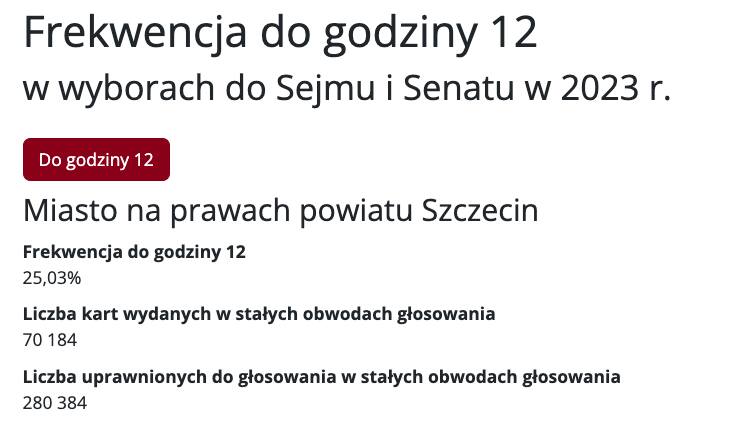Wybory parlamentarne 2023 i referendum w Szczecinie i regionie. Znamy wyniki wyborów 