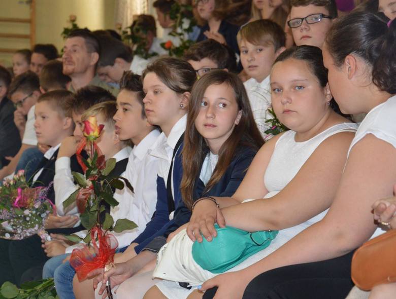 Zakończenie roku szkolnego 2014/2015 w Łowiczu (Zdjęcia)