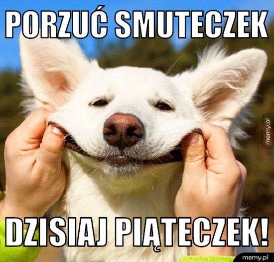 Piątek, piąteczek, piątunio. Memy na poprawę humoru tuż przed weekendem!  Zobacz galerię najfajniejszych piątkowych memów - Dziennikbaltycki.pl