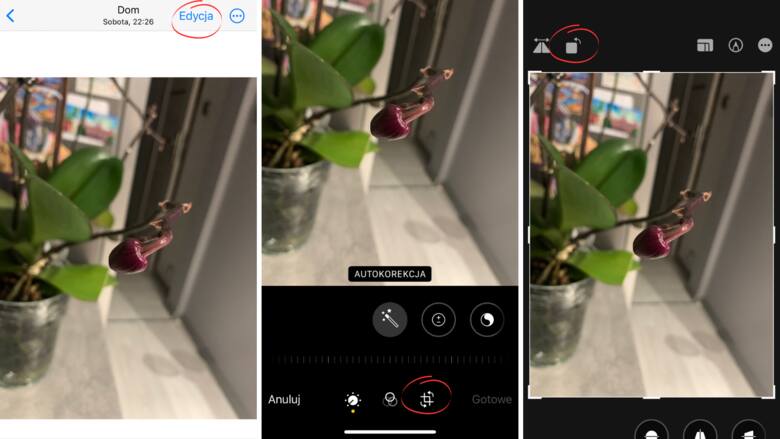 Jak obrócić zdjęcie w telefonie? Szybki i prosty sposób na obracanie zdjęć na telefonach z systemami Android i iOS