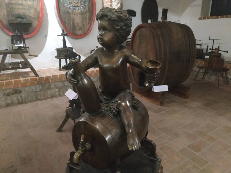 - Historia miejscowego winiarstwa jest pasjonująca, często mnie zaskakiwała - mówi szefujący działowi winiarskiemu Muzeum Ziemi Lubuskiej w Zielonej Górze  Arkadiusz Cincio. - Na przykład losy tych prywatnych, niewielkich winiarni, produkujących wina gronowe, ale także owocowe, które dobrze...