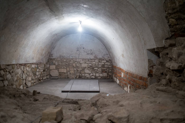 Wawel: nowe odkrycia w podziemiach katedry