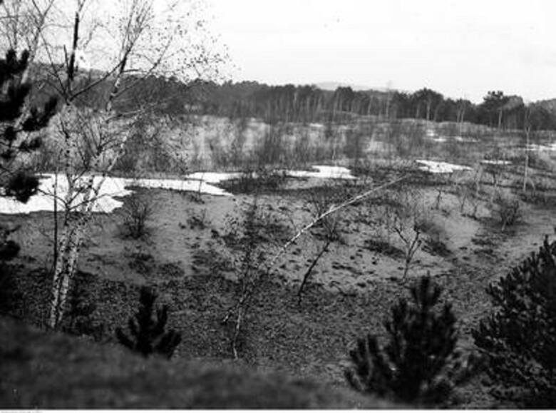 Inne ujęcie Białej Przemszy płynącej przez piaski "Polskiej Sahary" na zdjęciu z 1931 roku