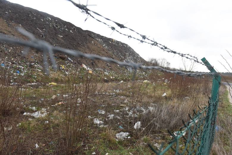 Teren wysypiska zlokalizowanego przy oczyszczalni ścieków w Sulechowie