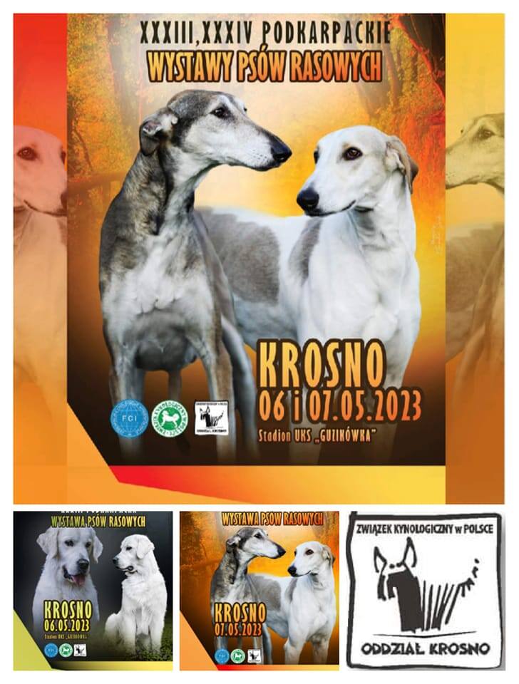 KROSNOW dniach 5-7 maja odbędzie się XXXIII i XXXIV Podkarpacka Wystawa Psów Rasowych w Krośnie. Impreza odbędzie się na stadionie UKS "Guz