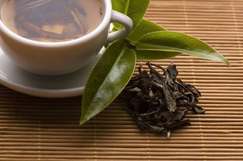 Do zasilania roślin nadają się fusy z herbaty czarnej, zielonej i białej. Unikajmy jednak herbat aromatyzowanych, a także - słodzonych.
