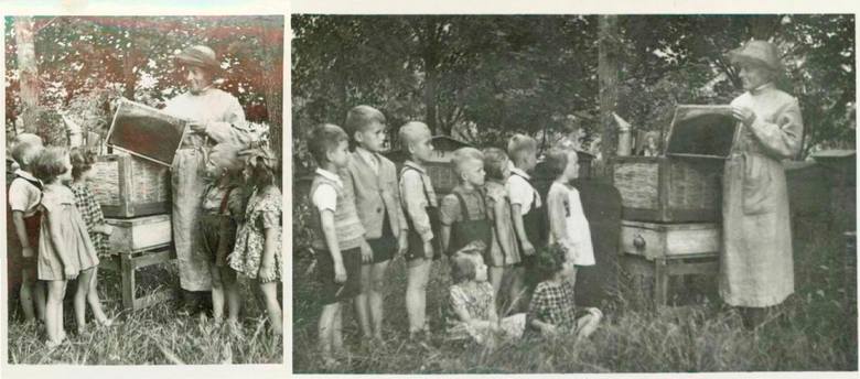Lublinianin Stanisław Jasiński w swojej pasiece na Poczekajce,  podczas „zielonej szkoły” dla przedszkolaków, 1955 r. 