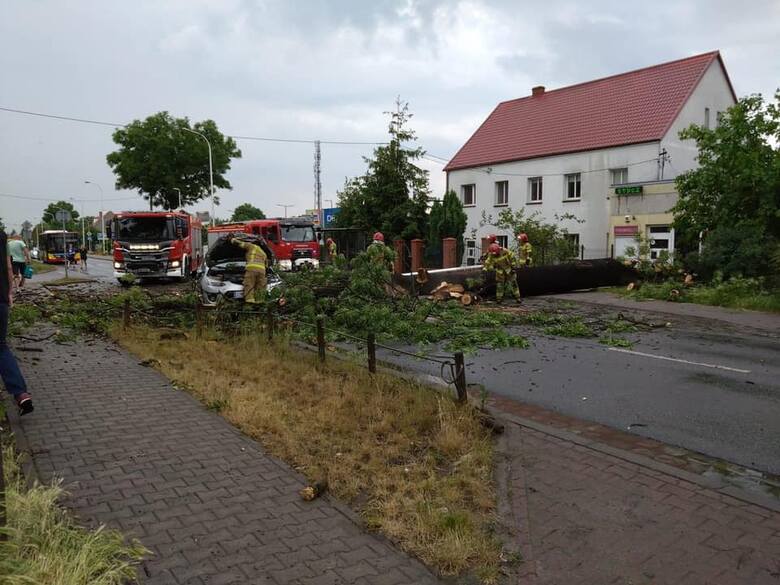 Drzewo runęło na jezdnię na ul. Strachocińskiej we Wrocławiu