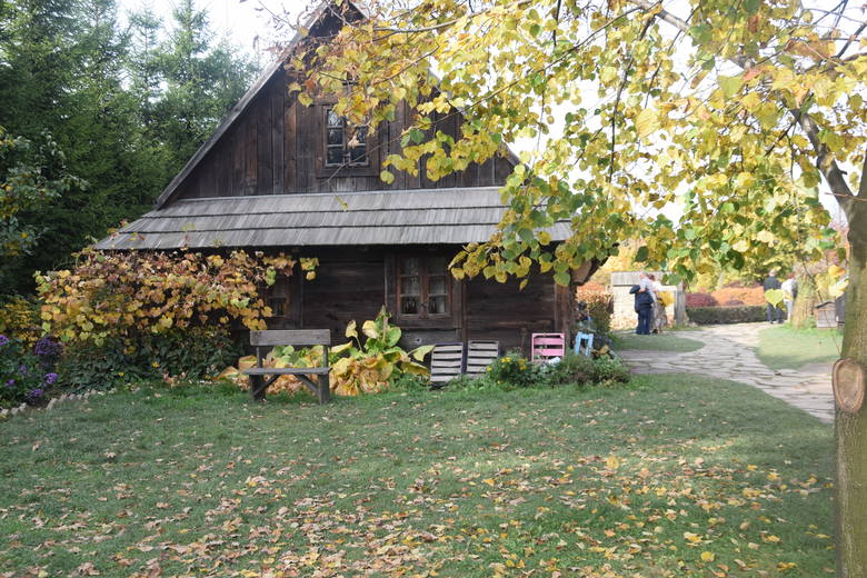 Ogrody Kapias w Goczałkowicach Zdroju. Barwy jesieni