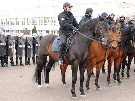 Zakończyła się coroczna atestacja policyjnych koni. 5 policyjnych koni.