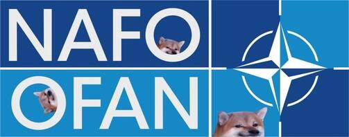 NAFO („North Atlantic Fellas Organisation”, „Organizacja Północnoatlantyckich Kolesi”).