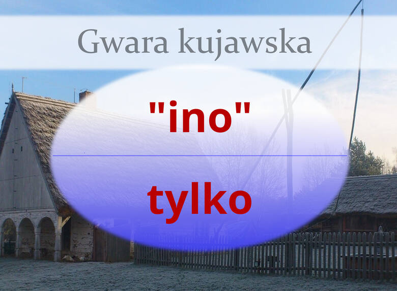 Gwara kujawska - tak mówiono kiedyś na Kujawach. Jest podobna do gwary poznańskiej [2.07.24 r.]