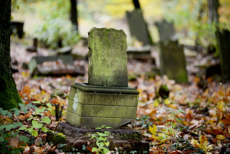 Zielona Góra. Stary poniemiecki cmentarz w Janach to urokliwe miejsce. Mieszkańcy zadbali, aby nekropolia nie popadła w ruinę
