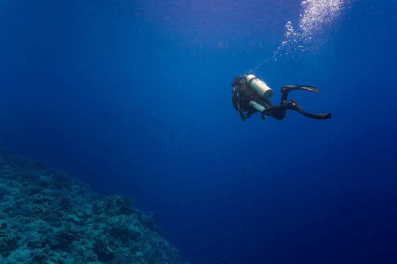 Nurek podczas eksploracji głębin