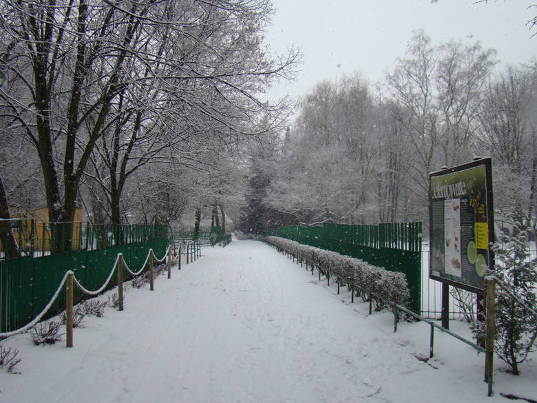 Śląski Ogród Zoologiczny                     