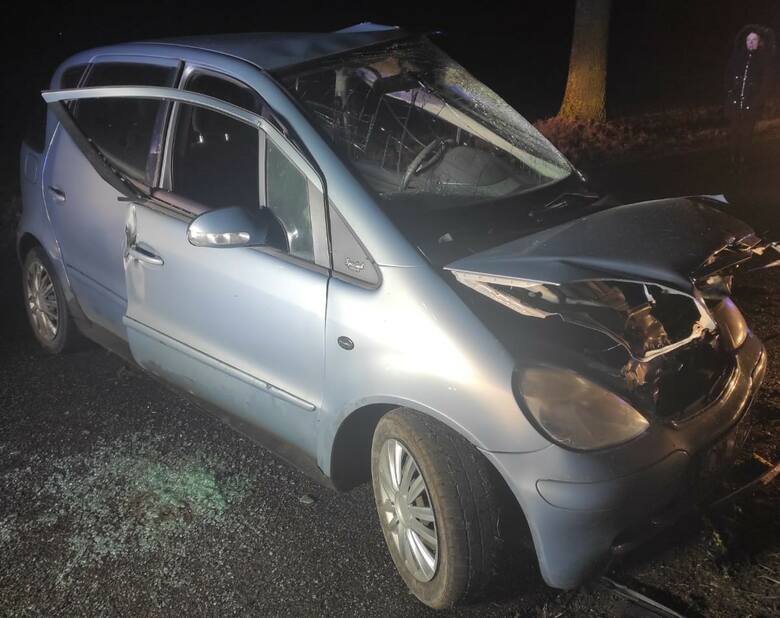 Wstępne ustalenia wskazują, że 19-letni kierujący samochodem marki Mercedes stracił panowanie nad pojazdem, po czym zjechał na lewe pobocze i uderzył
