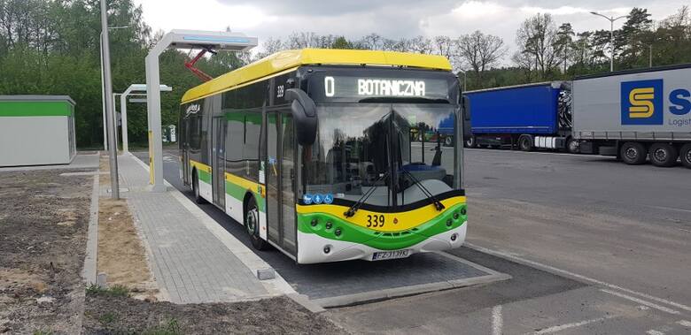 Obecnie zielonogórskie MZK dysponuje 43 autobusami elektrycznymi, po zakupie nowych, w sumie będzie ich 55.