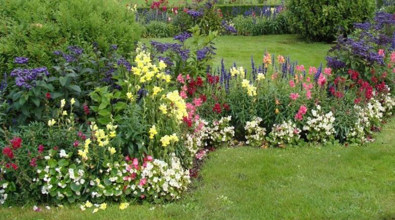 Rabaty kwiatowe w ogrodzie francuskim powinny mieć uporządkowaną formę.