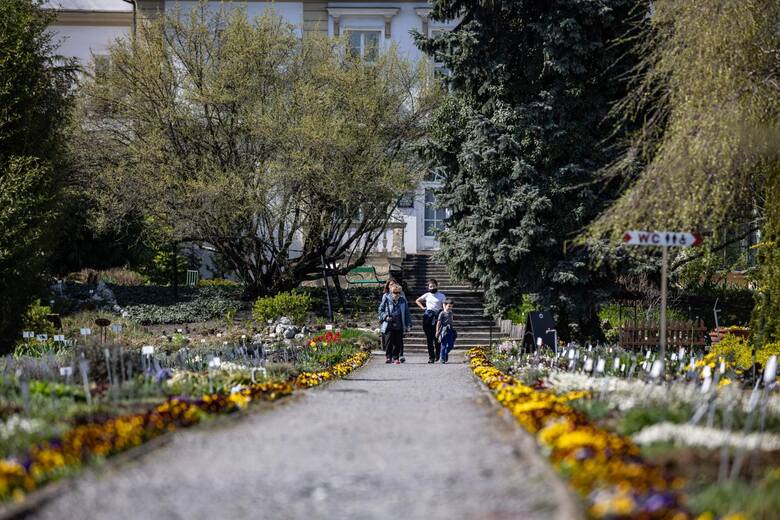 Ogród botaniczny założony w 1783 w Krakowie zajmuje powierzchnię 9,6 ha i jest najstarszym ogrodem botanicznym w Polsce. Możecie cieszyć się tam piękną