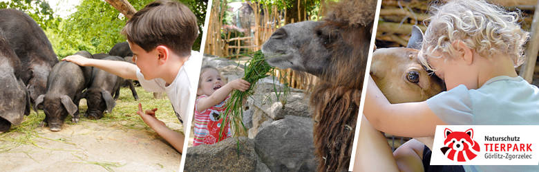 Zwycięzcy w etapie powiatowym w kategoriach wiekowych 1-3 i 3-7 otrzymają bilety wstępu do zoo dla dwóch dorosłych i dwójki dzieci.