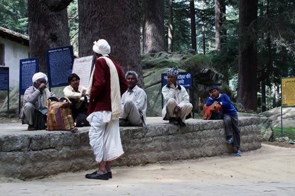 Podróz po Indiach<br /> Park w Manali, Himachal Pradesh.