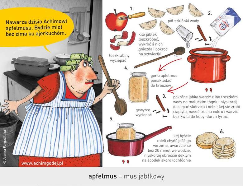 Ślónsko kuchnia dla Hanysów i Goroli - ilustracje Joanny Furgalińskiej