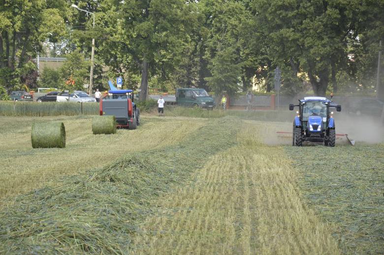 Piknik rodzinny w ZSP nr 2 w Łowiczu (Zdjęcia)