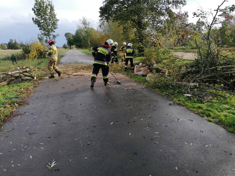 Strażacy z OSP Bogdaniec udrażniali drogę w Kwiatkowicach.