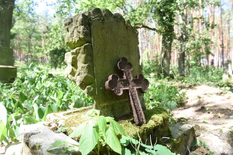 Zielona Góra. Stary poniemiecki cmentarz w Janach to urokliwe miejsce. Mieszkańcy zadbali, aby nekropolia nie popadła w ruinę