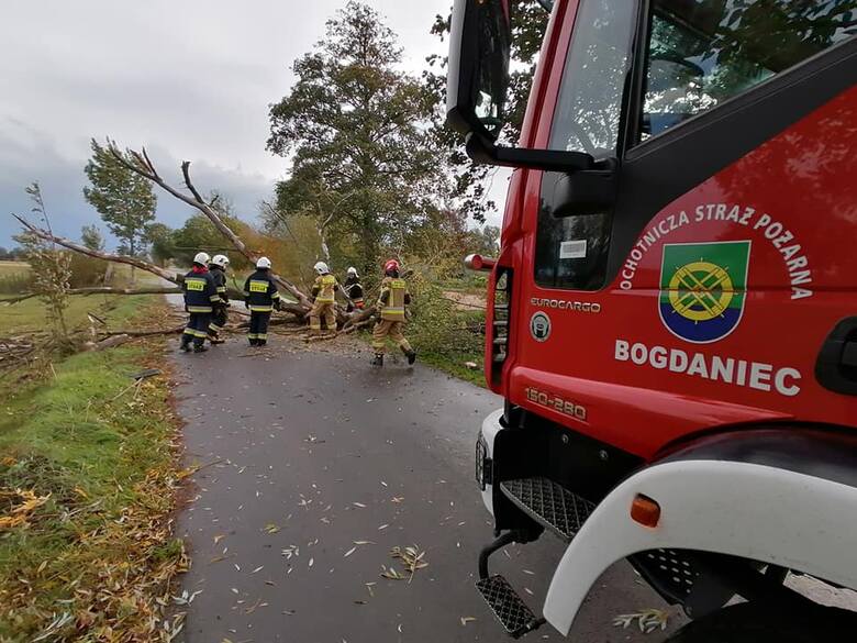 Strażacy z Bogdańca dostali wezwanie do powalonego drzewa na drodze gminnej w Kwiatkowicach.