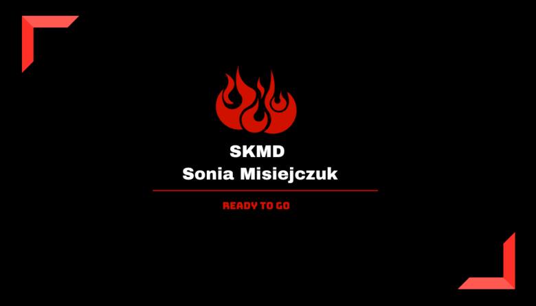 Firma budowlana SKMD Sonia Misiejczuk                             
