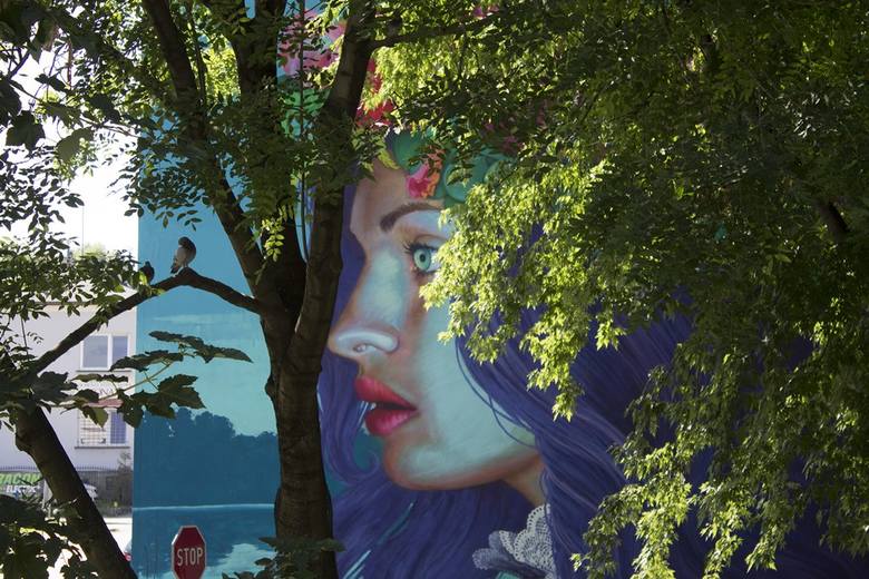 Ten przepiękny mural  na ścianie budynku przy ul. Cieszyńskiej 36  odwołuje się do nocy świętoja-ńskiej - pradawnego święta słowiań-skiego, związanego z letnim przesile-niem Słońca i ze zwyczajem plecenia wiank&oacute;w przez młode dziewczyny. Mural przedstawia kobietę w profilu na tle jeziora, w...