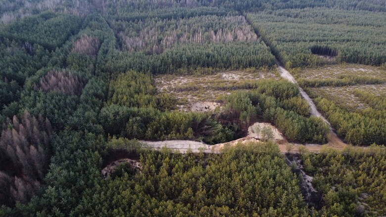 Zapadliska w lasach między Hutkami i Olkuszem