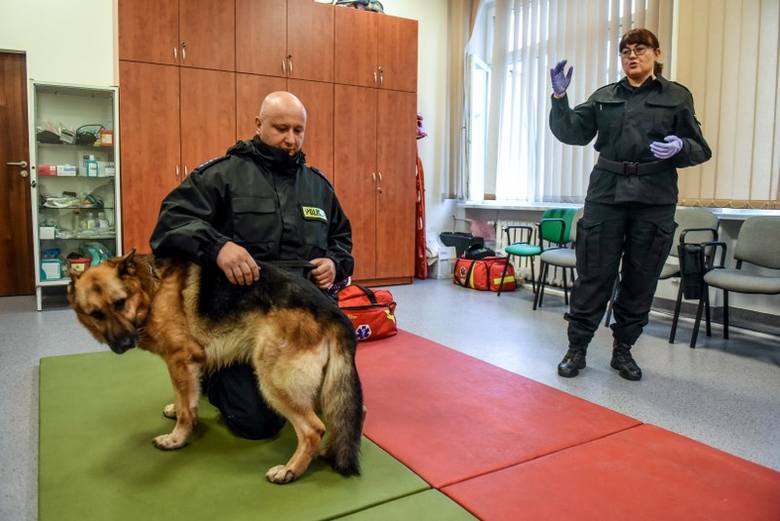 Podczas szkolenia policjanci uczyli się m.in., jak wykonać resuscytację krążeniowo-oddechową u zwierzęcia 